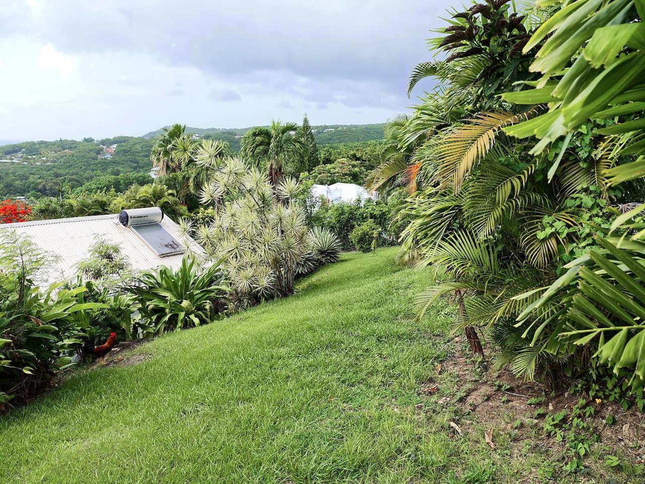Karureve Villa Deshaies Exterior photo